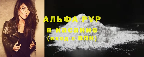 эйфоретик Белокуриха